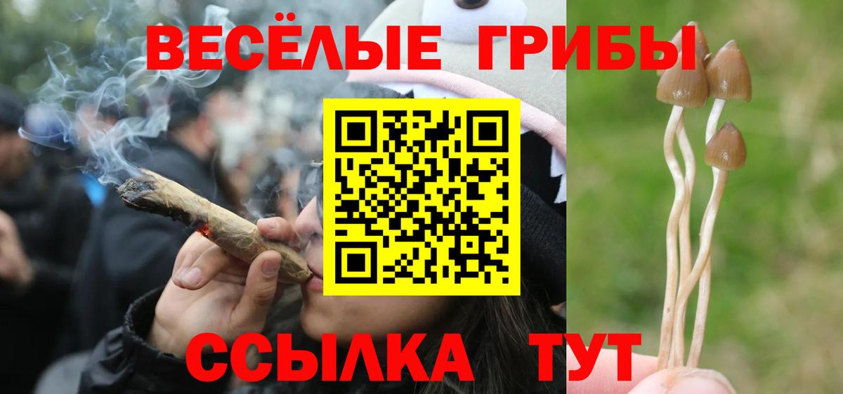 где купить наркотик  Галлюциногенные грибы Psilocybine cubensis  Псилоцибиновые грибы GOLDEN TEACHER  Вход с VPN  Пенза 