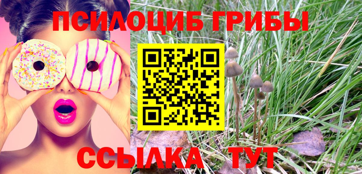 Псилоцибиновые грибы мицелий Пенза
